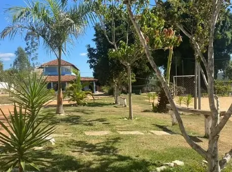 Jardim com palmeiras e o sobrado da unidade ao fundo