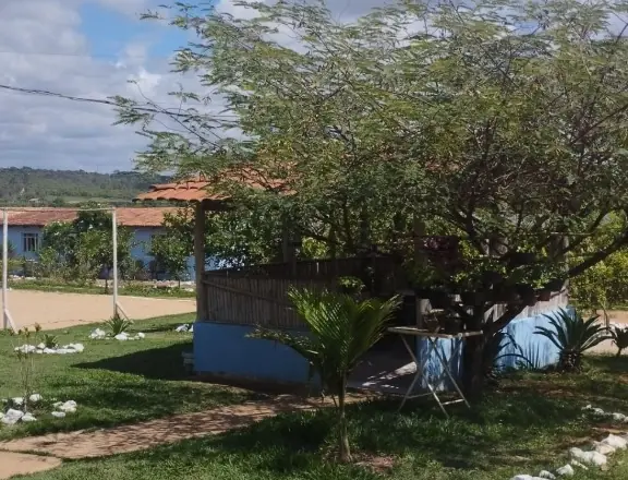 Quiosque coberto sob uma árvore grande, com bancos no gramado